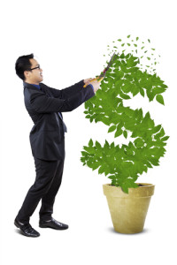 businessman trimming dollar plant