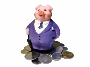 businesspig standing over coins