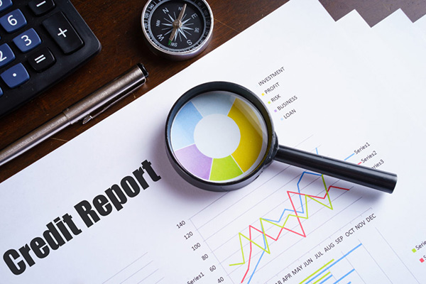 analyzing credit report