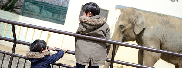 brothers at zoo fun family activity