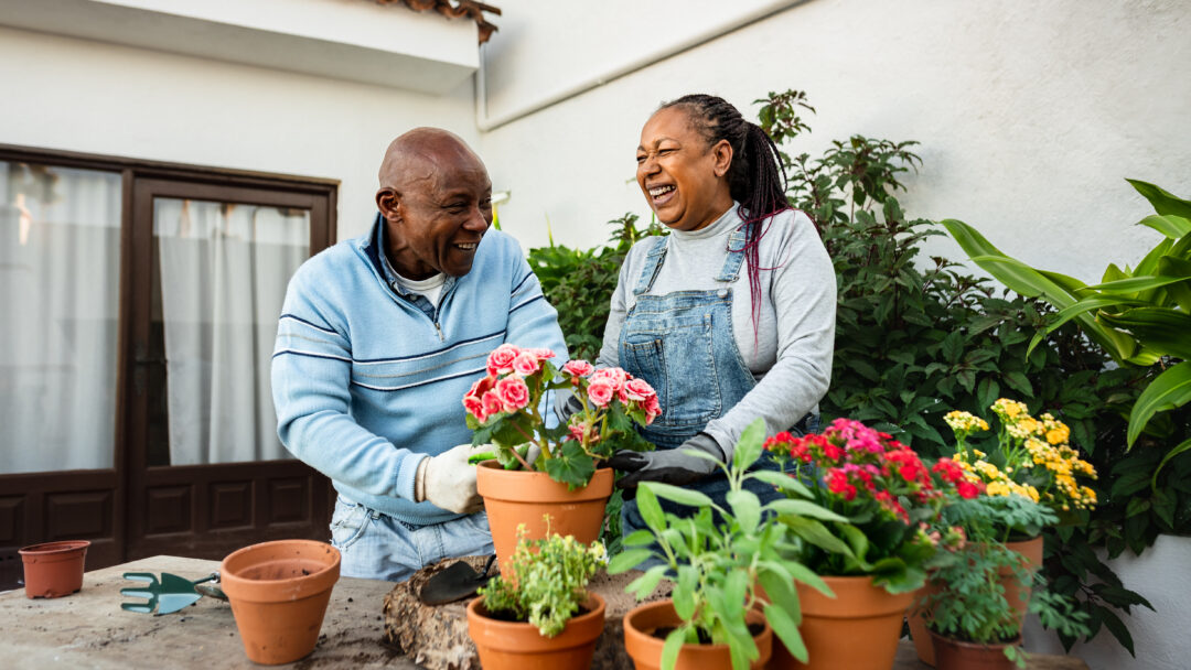 Older couple smiling while gardening together on a patio surrounded by colorful potted flowers and plants.