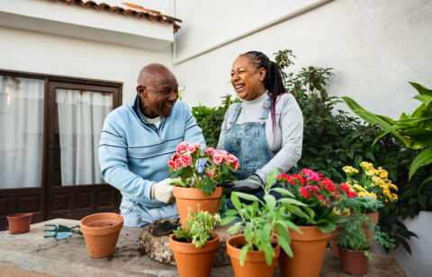 Older couple smiling while gardening together on a patio surrounded by colorful potted flowers and plants.