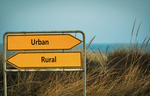 A directional sign by a lake points two ways — left for “rural,” and right for “urban.”