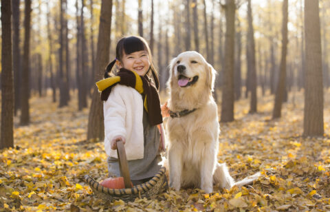 little girl playing with dog in autumn woods
