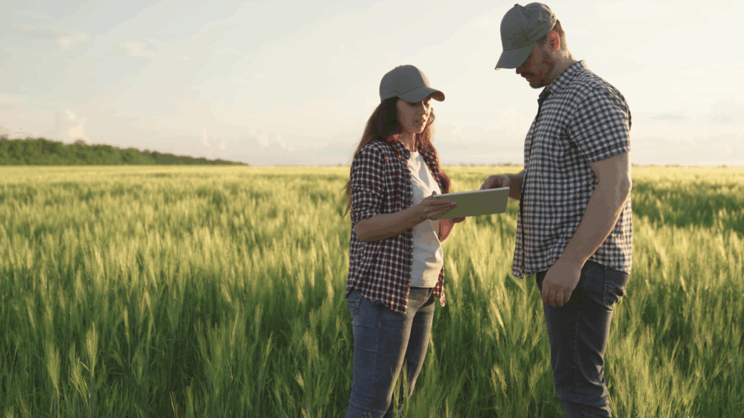 Two farmers stand in a green field reviewing information on a tablet during daylight.