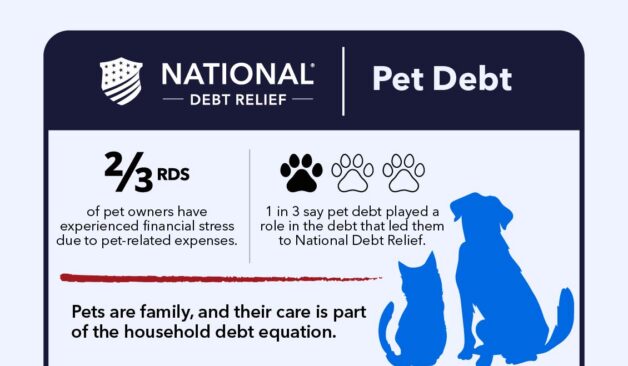 National Debt Relief infographic highlighting consumer management of rising household expenses from summer vacations, back-to-school costs, natural disasters and pet care while dealing with debt.
